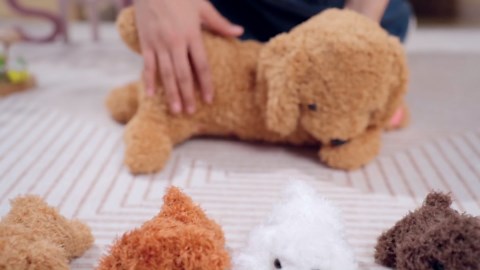 Honoson Nurturing Dog Mommy Plush Set with 4 Baby Puppies Soft Cute Dog Themed Stuffed Plush Toys for Kids Girls Boys Easter Birthday Gifts(Dachshund)