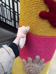 Trees in #Beijing put on lovely sweaters for the winter, attracting many locals and tourists to take photos. | Wang Wenbin Chinese Ambassador to the Kingdom of Cambodia 汪文斌