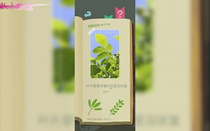 【老农种树】【FarmerAndTree】一款休闲种树小游戏