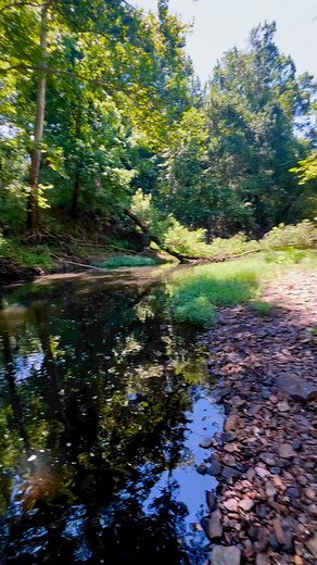 I’m at peace with nature #outdoors #naturelovers #hikingadventures #fishinglife #blondeokie FYI this is satire, I used a water bottle 👍🏻 | Blonde Okie
