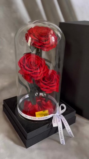 I love you dome - eternal rose #fyp #valentinesday #rose #maxwellflowers
