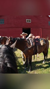 12K views · 502 reactions | "If You Ain't Learning, You Ain't Gaining": Cowboy Wisdom! #cowboywisdom #lifelessons #keeplearning #ranchlife #cowboylife #wisewords #hardworkpaysoff #neverstoplearning #cowboymindset #trinityvandenacre #trendingnow #viralnow #experienceisthebestteacher #ranching #lifelonglearning #gritandgrace | Life in the West | Facebook