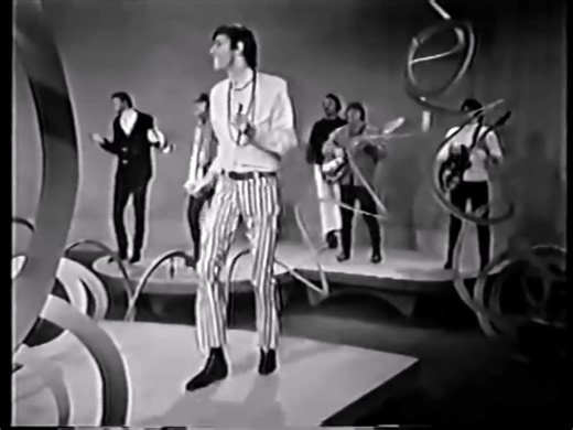 John Fred and His Playboy Band Judy in Disguise | Nedertaler Hits