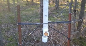 8 Creative Ways to Trap Antlers