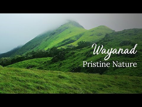 Wayanad | #BucketListDestinations | Kerala 365 | Kerala Tourism