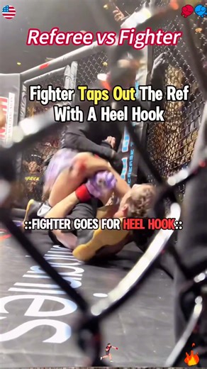 Referee vs Fighter#ufc #referee #fighter #usa #mma