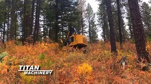 Our Expert Team recently delivered this new Tigercat forestry equipment LX830D feller buncher to Timbered Rangeland Management, who promptly put it to work harvesting trees. In addition to this unit, our customer has purchased four other forestry machines from us including an LX830C feller buncher, an 880 processor with Log Max 10000XT head and a 620E skidder. Find out more about great products like these at titanmachinery.com/forestry | Titan Machinery