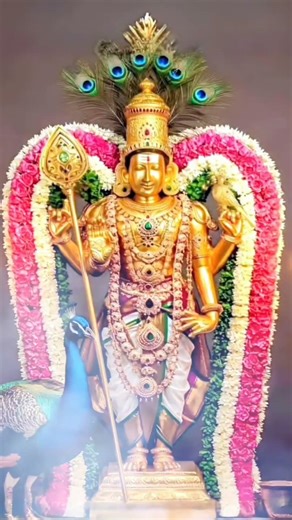 Muruga 🌻🪷🌻 #murugan #shorts #trendingshorts #tamilmotivation #muruganarul