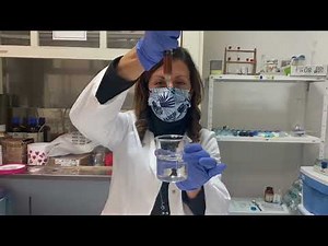 Preparation of nanocomposite Ag/alginate hydrogels with honey