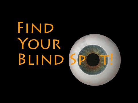 Find Your Blind Spot! | STEM Activity