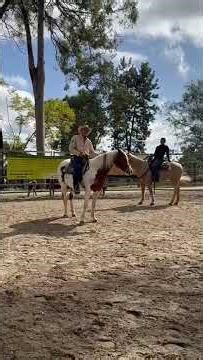 First Re-Educational Ride - Troubled Young Horse Part 2 #horsetrack #equestrianjourney #horses