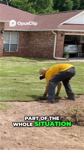 Sod Installation: Prep vs Installation Expert Tips #lawncarebusiness