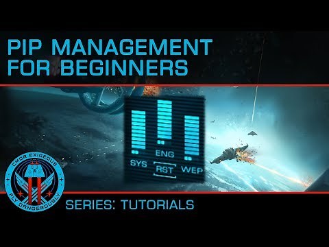 Tutorial: Pip Management for Beginners