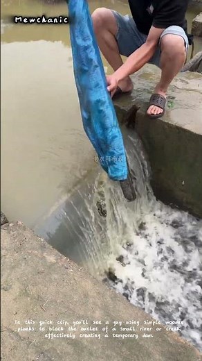 How to Build a Simple River Dam with Wood? 🌊🪵
