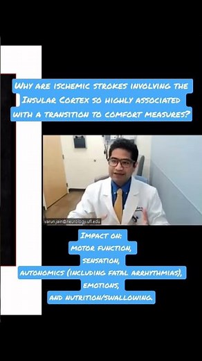 Insular Cortex Strokes: Impact on Quality of Life