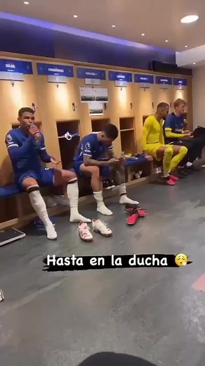 Enzo | Chels Royal Fans