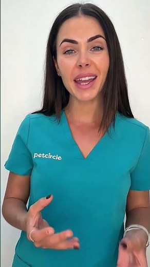 Can dogs eat honey? 🍯 | PET CIRCLE