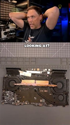 Was This A Joke? I Still Don't Know What To Think!