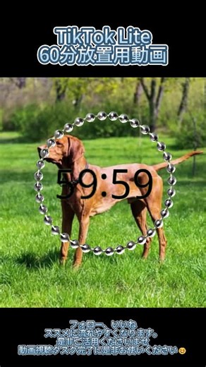 TikTok Lite 60分放置用動画 ，TikTok Lite TikTokライト用音無し放置動画 画面を長押し 再生速度0.5倍にしてください フォロー、いいね、集めオ・ ススメに流れやすくなります。 是非ご活用くださいませ 動画視聴タスク完了に是非お使いください☺☺️#放置用動画 #tiktoklite放置用動画 #長時間動画 #TikTok #無音 #放置 #リラックス #放置用動画tiktok #ポイ活 #レコメンド載りたい #おすすめ #recommendations #60分動 #癒し #180 #方法