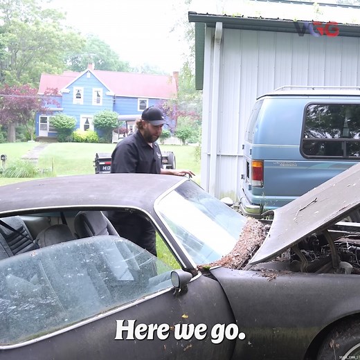 538K views · 17K reactions | Think this abandoned rusty beyond repair 1978 Pontiac Firebird will start? And if so, think the car will actually make it 700 miles home? #VGG #firebird #pontiac #satisfying #revival | Vice Grip Garage | Facebook