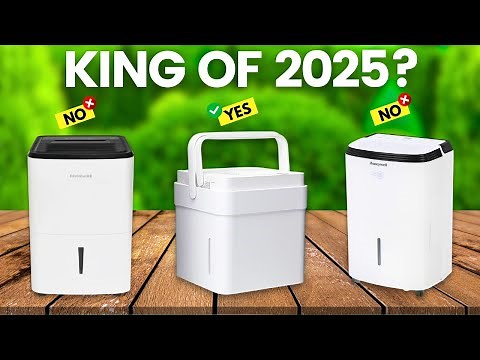 6 Best Dehumidifier For Basement 2025