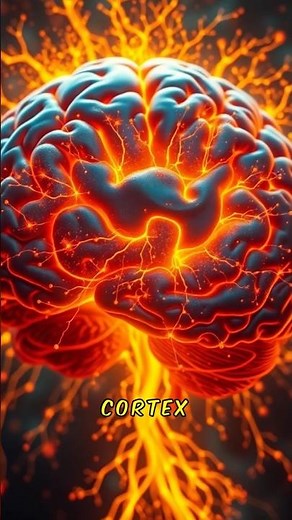 Your Brain Can EXPLODE While You Sleep | And Doctors Ignored It