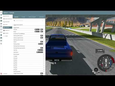 How to Assign Mouse controls for Beam NG