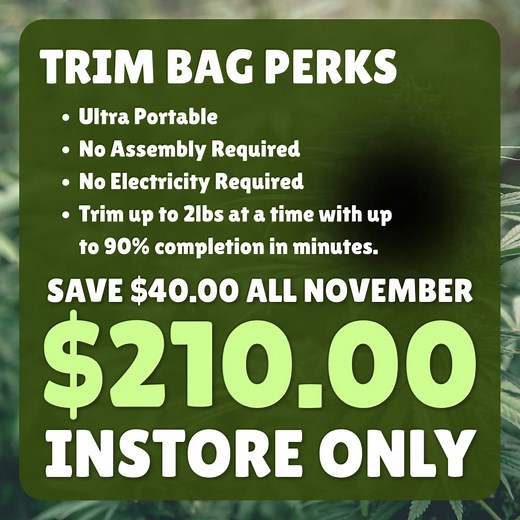 All November long at the Seed Cellar! | Seed Cellar | Facebook