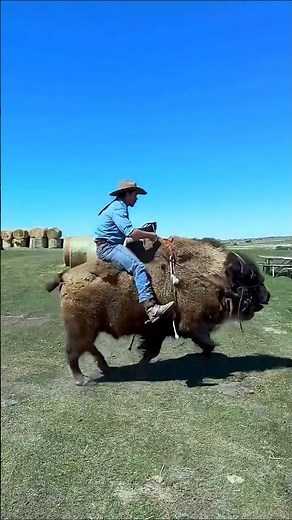 Funniest & Cutest Animal Moments 😂🐾 | Funny Fails, Hilarious Animals & Lovely Moments #shorts