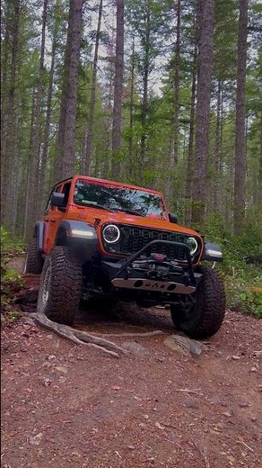 2025 JL Wrangler Driving over Tree in 4Lo