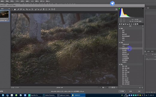 用photoshop软件处理raw格式图像的一般思路