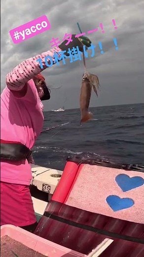 10 squid caught!! #yacco #Squidfishing