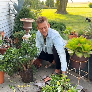 116K views · 7.4K reactions | It's the time of fall when garlic is ready to plant. It's such an easy process and one of the easiest plants to grow in the garlic. I'm a huge proponent of growing garlic, so I hope you plant and grow some this year! I also had a bit of a mishap with some of the pots on my back patio. It was my fault but it was still very unfortunate! | Wyse Guide | Facebook