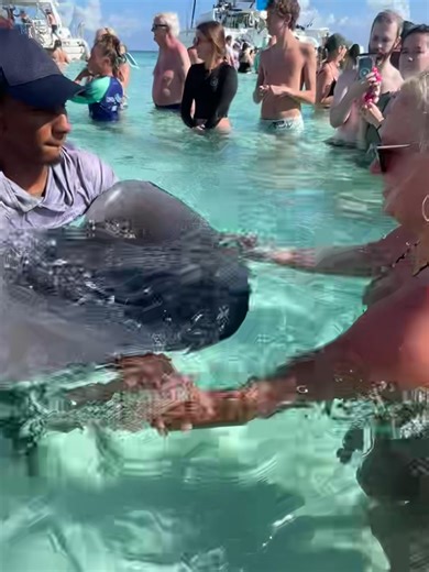 jamie23smith (@jamie23smith)’s videos with Island Girl - Khalia