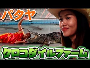 【パタヤ】ワニショーで人気のクロコダイルファーム（The Million Years Stone Park and Pattaya Crocodile Farm）でもお客さんがほとんどいない貴重な映像