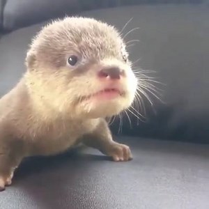 When you can't find your friends in the club... | Wakelet