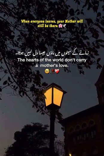 Celebrate Mother Love with Heartwarming Status Videos