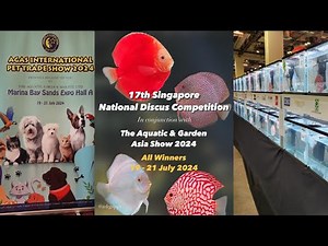 Beautiful Discus (Winning Entries) - 17th Singapore National Discus Competition 2024