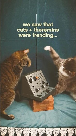 Cats + Theremin = 📡✨👽