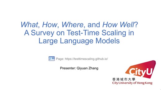 Test time scaling 综述! 从what, how, where 和how well帮你系统解构！