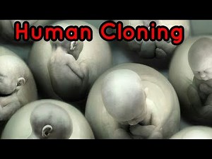 Human cloning || Genetic engineering