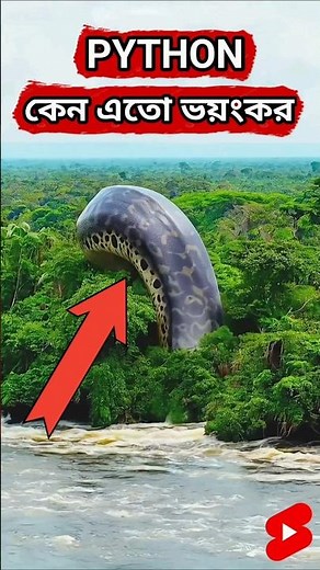 Python vs Leopard Fight | Deadly Jungle Predator Battle Caught on Camera #WildlifeFight #shorts