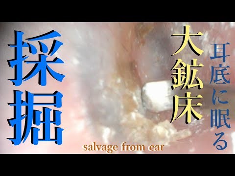 耳の奥底に眠る怪物に挑む（耳かき動画/No Talking）※告知あります