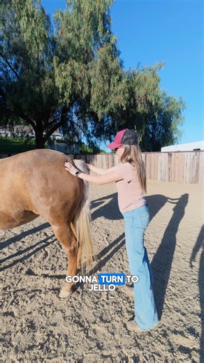 Lazy Oaks Ranch on Instagram: "👀 Foal watch basics 👀 A few signs to look for when your mare is getting close to giving birth—every mare is different, but knowing what to watch for can make all the difference. #LazyOaksRanch #FoalingSeason #HorseEducation #BroodmareCare #FoalWatch #EquineTips #HorseKnowledge"