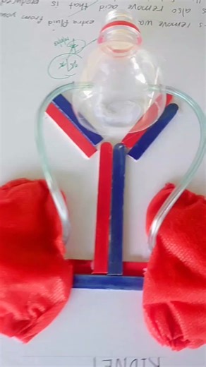 Learner's Performance Task in Science 4-Q2 Showcase