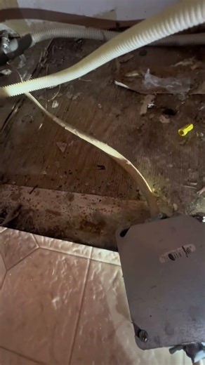 How many electrical violations can you spot?