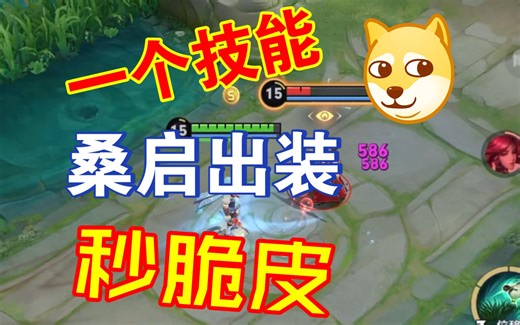 桑启:一个技能秒脆皮，铭文出装