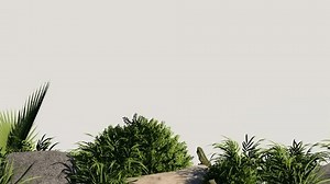 Vegetation Nature Plant Green Natural Environment Stock Footage Video (100% Royalty-free) 3579874629 | Shutterstock