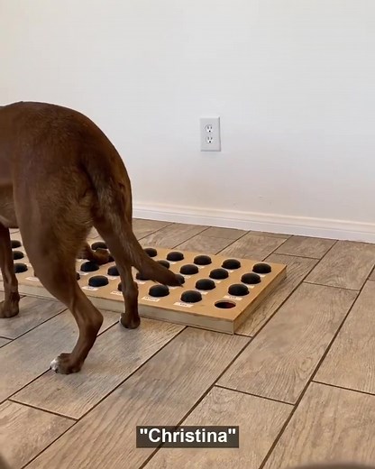 Hunger for Words on TikTok