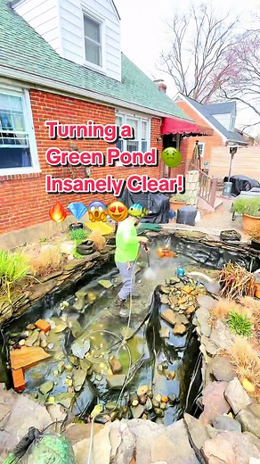 Deep koi pond cleaning 🐠 turns this thing absolutely crystalline… enjoy the satisfying transformation from Sam & Big Country 🔥💎😫 #premierponds #cleaning #ponds #fyp #foryou #pondmen #beforeandafter #crystalline @Mark @Premier Sam @Big Country